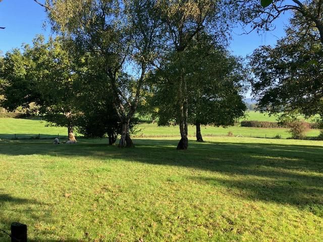 Tandridge view